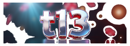 t13 logo